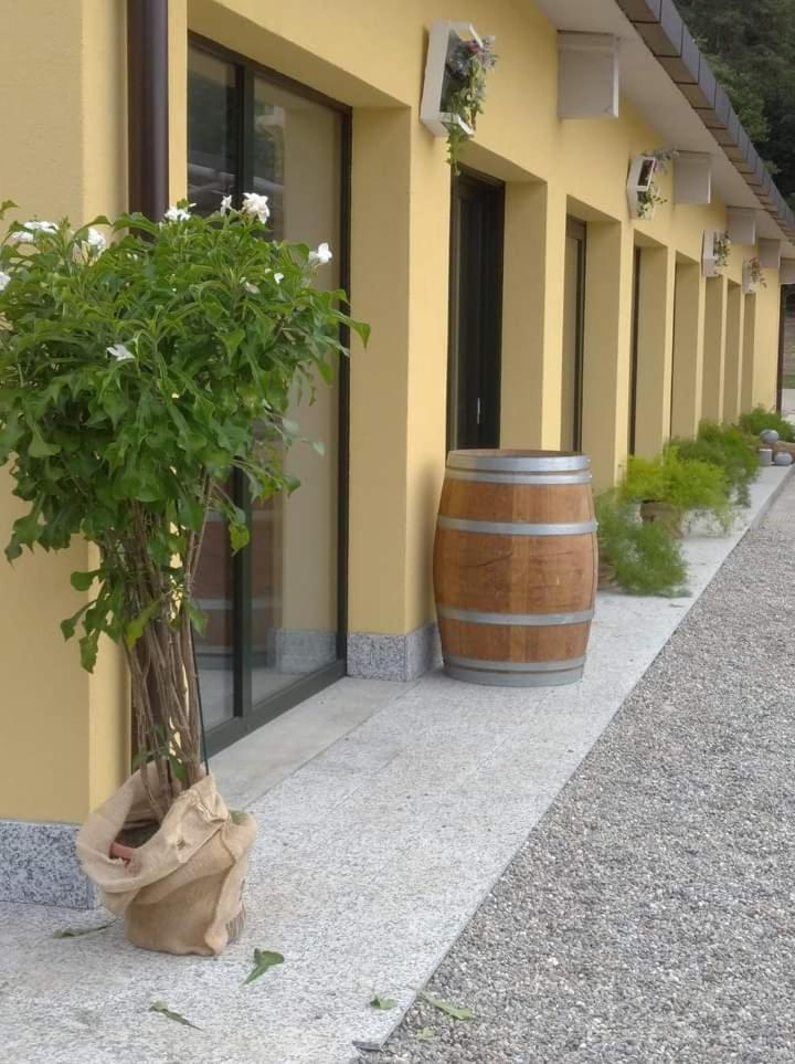 Azienda agrituristica Scotti