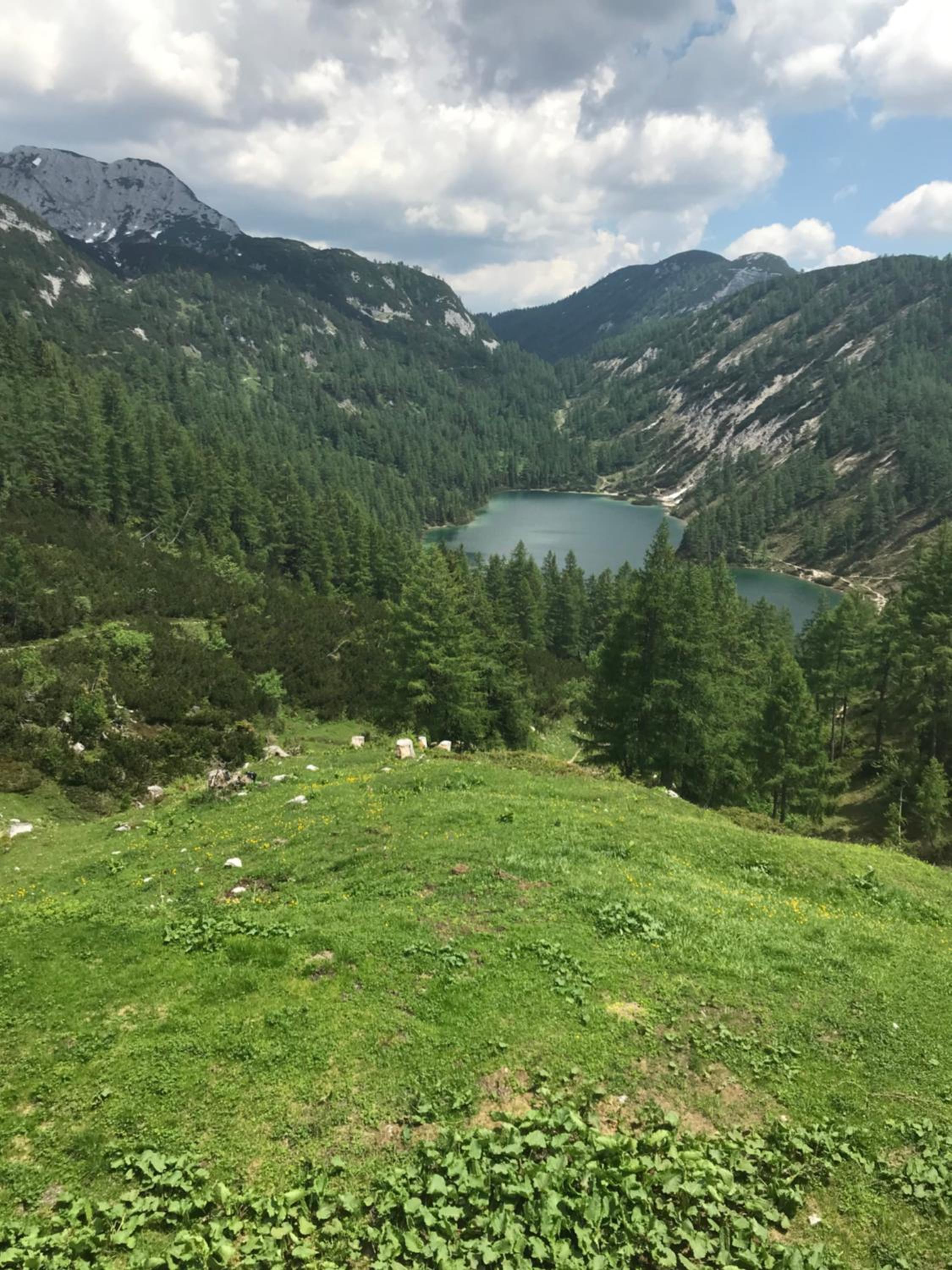 Pension Pichler