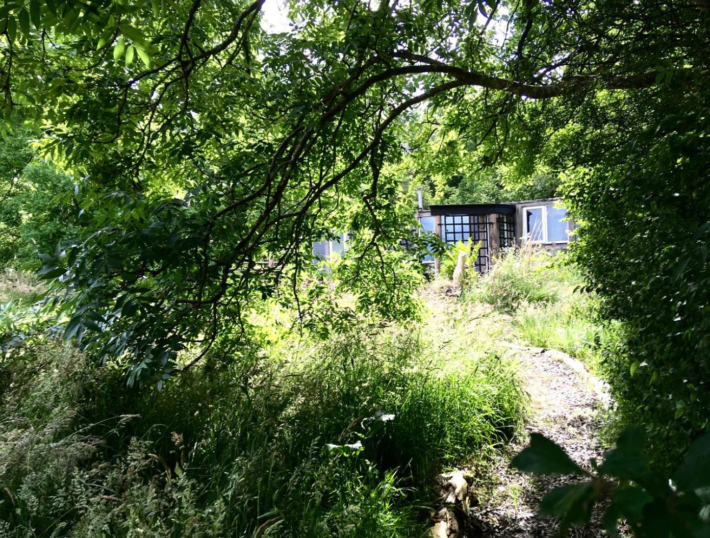 Photo 8