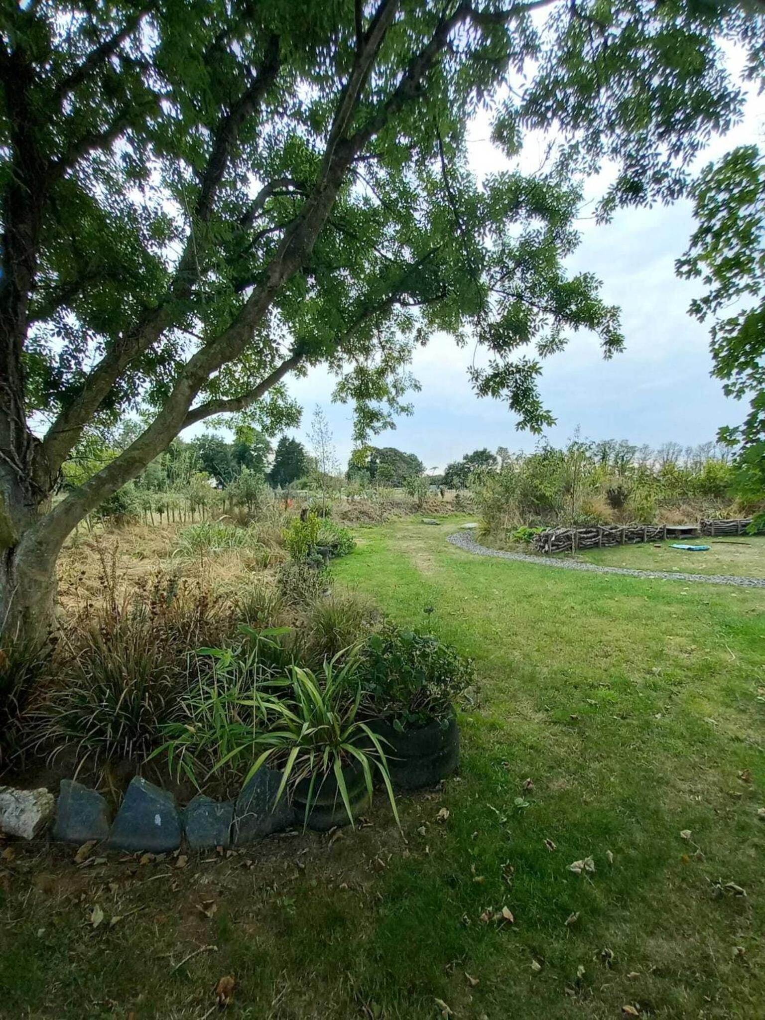 Photo 28