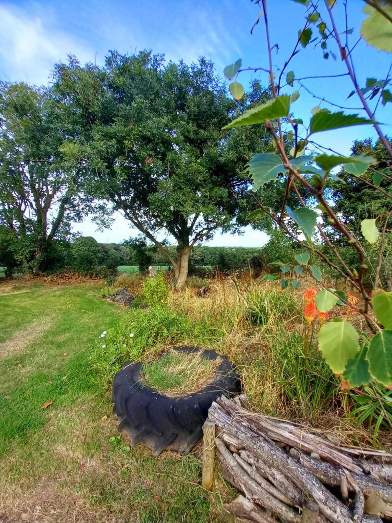 Photo 17