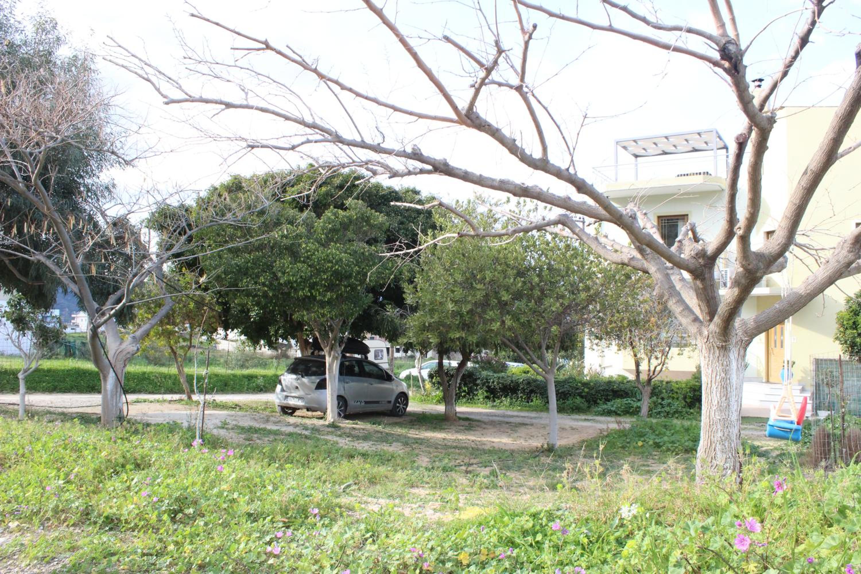 Photo 40