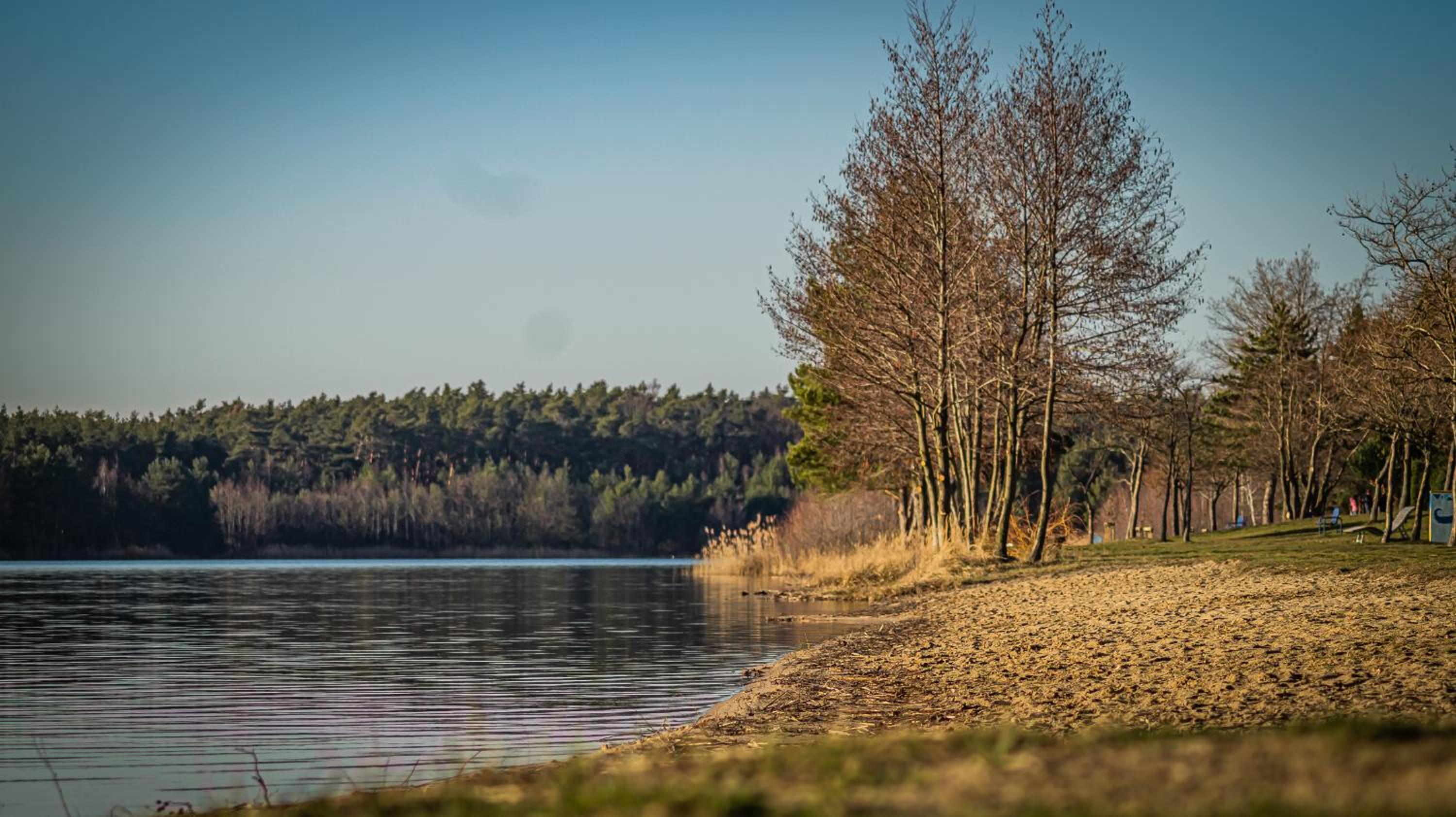 Ferienhaus Frieda Kiebitzsee