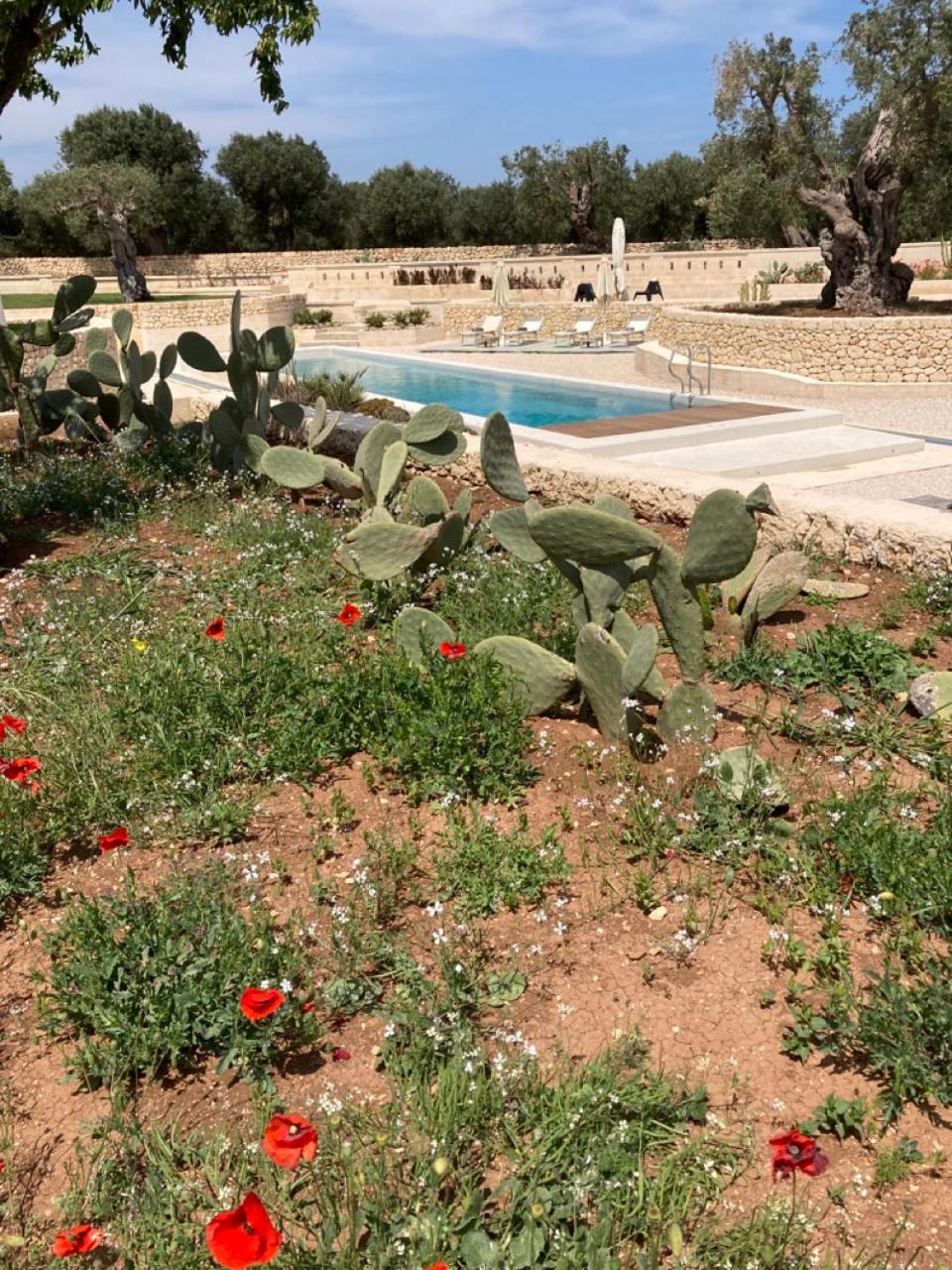 Photo 41