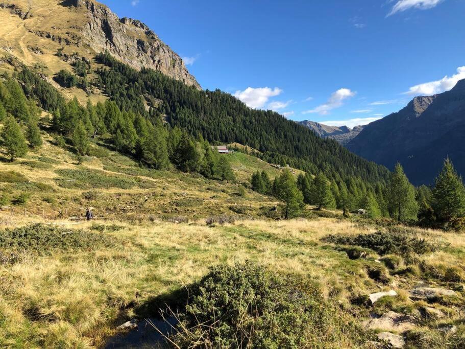 Wohnung mit Bergblick im Haus Sonne