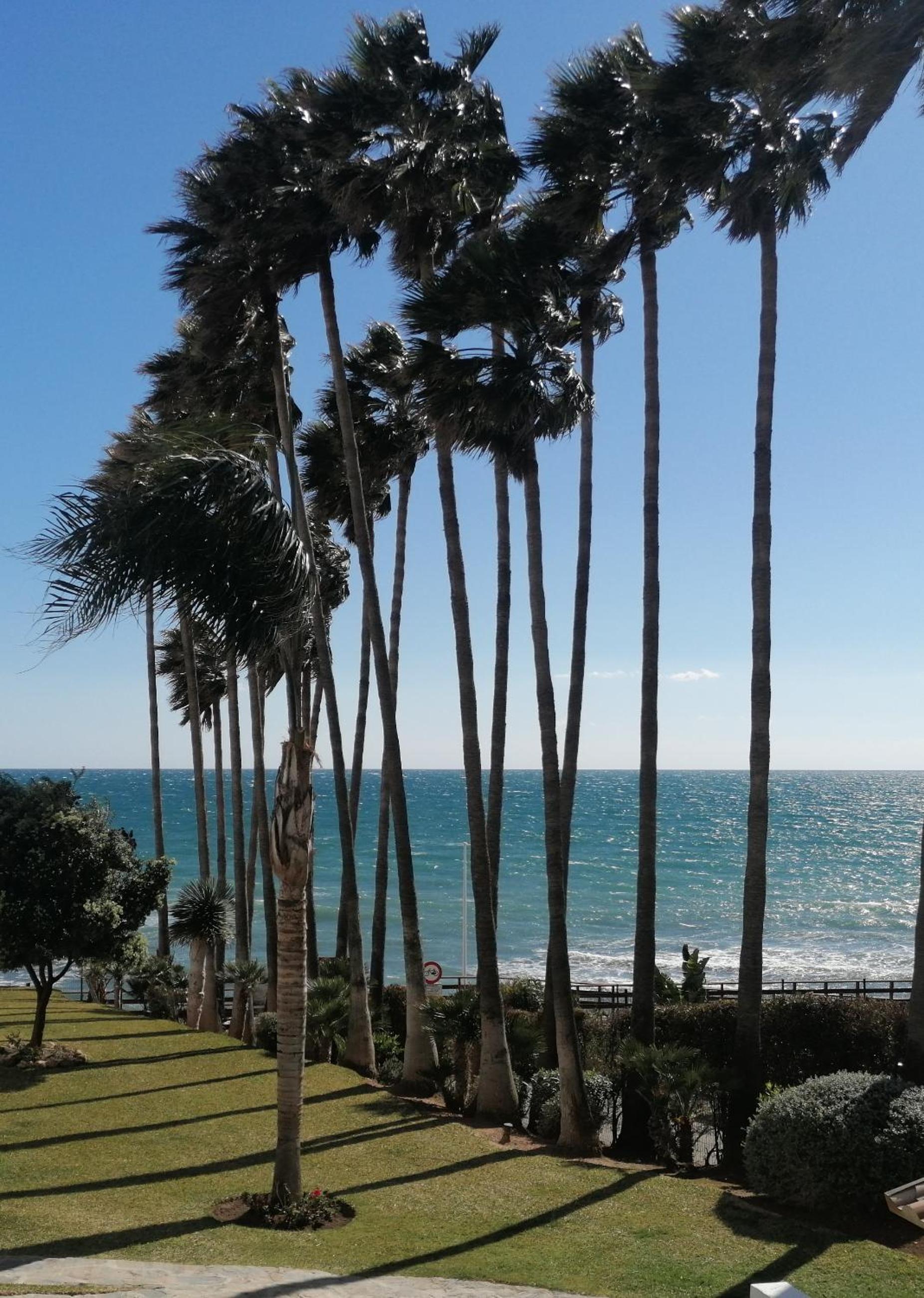 NUEVO! Algaida Calahonda Beach Studio