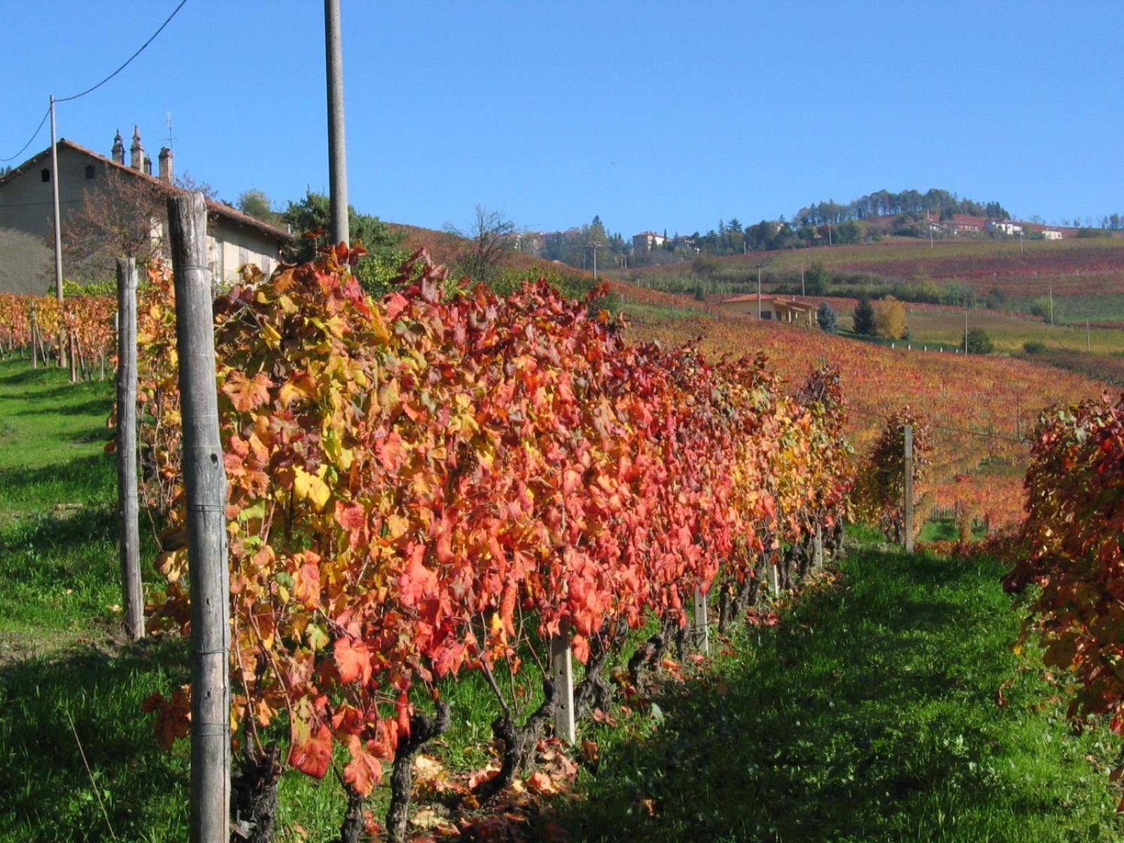 Agriturismo Il Gioco Dell'Oca