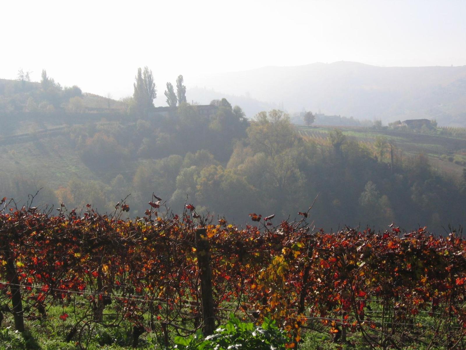 Agriturismo Il Gioco Dell'Oca