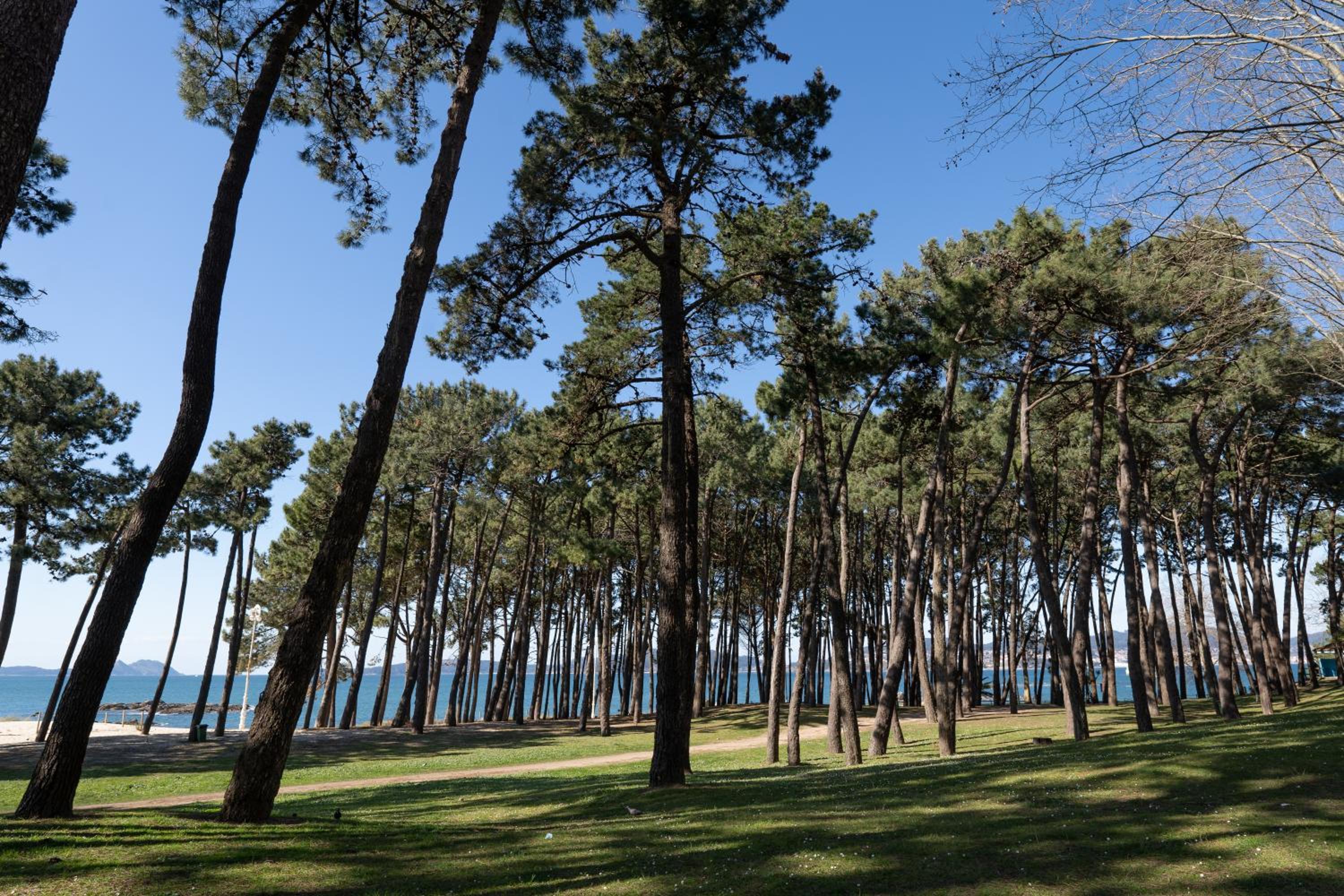 SAMIL PLAYA SUR