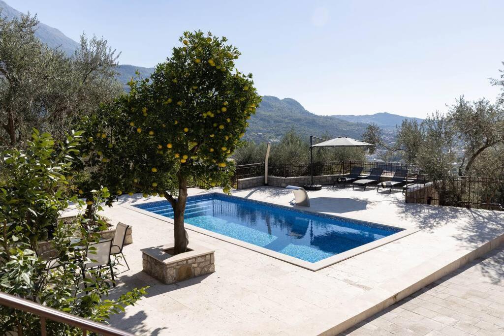 Villa Ella