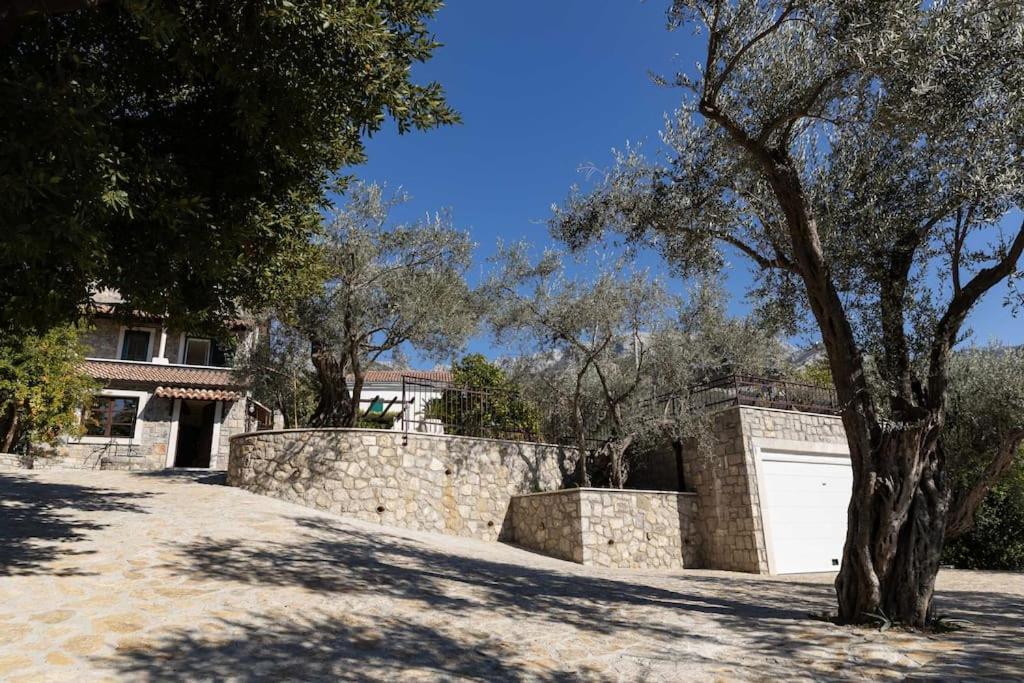 Villa Ella