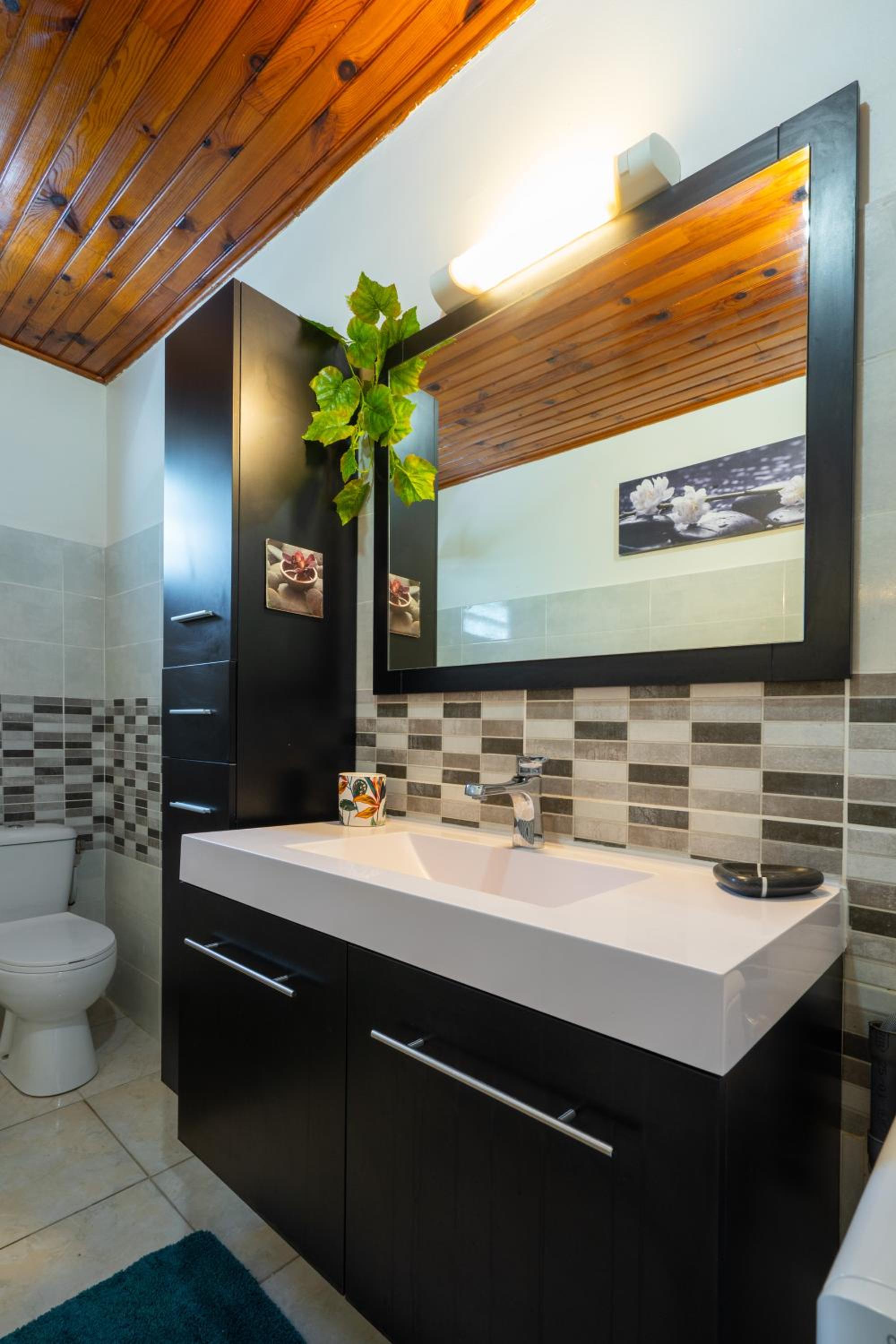 Charmant logement F3 au sud de la Martinique (PMR), photo 46