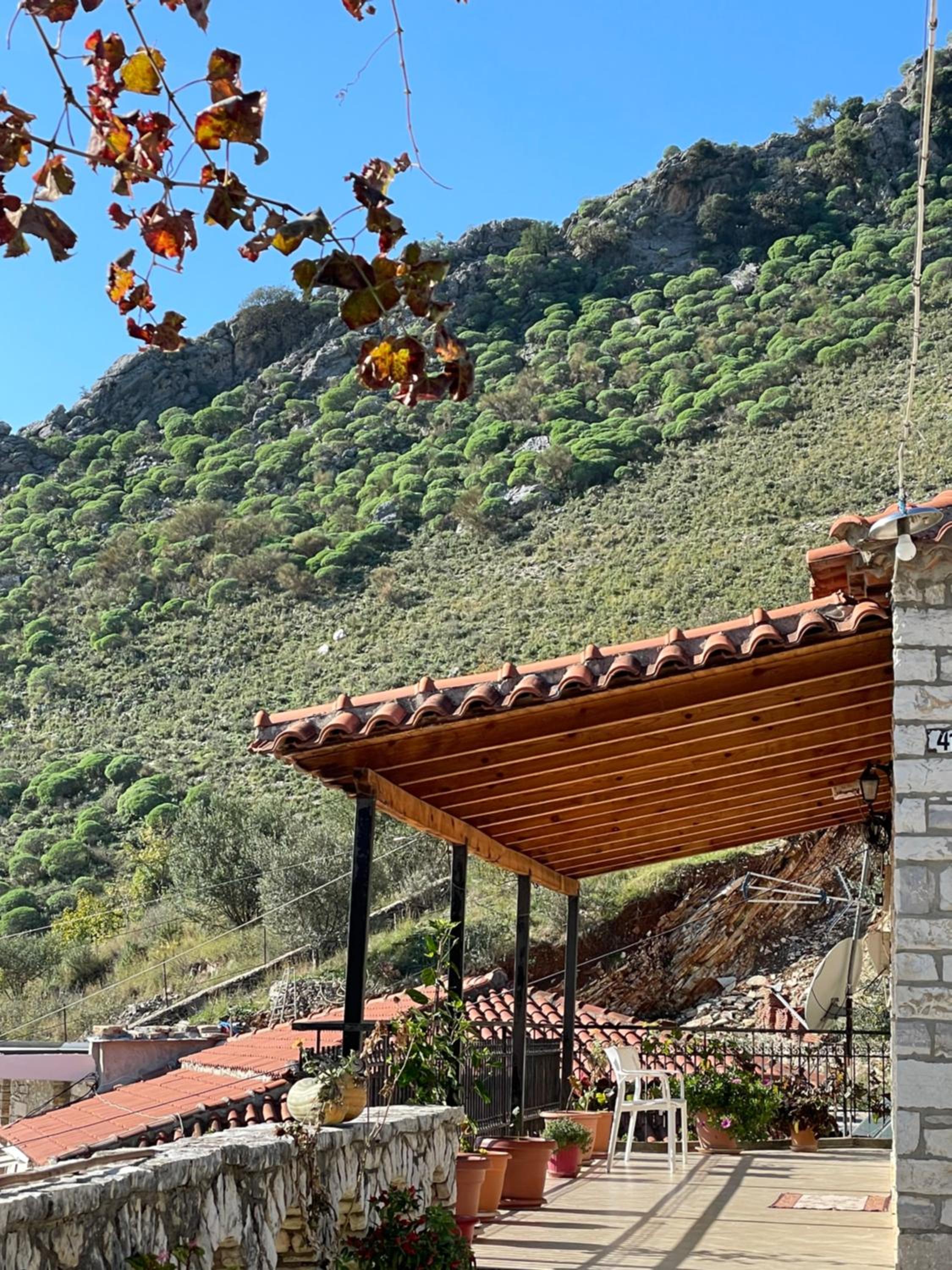 FarmHouse Qeparo photo 3