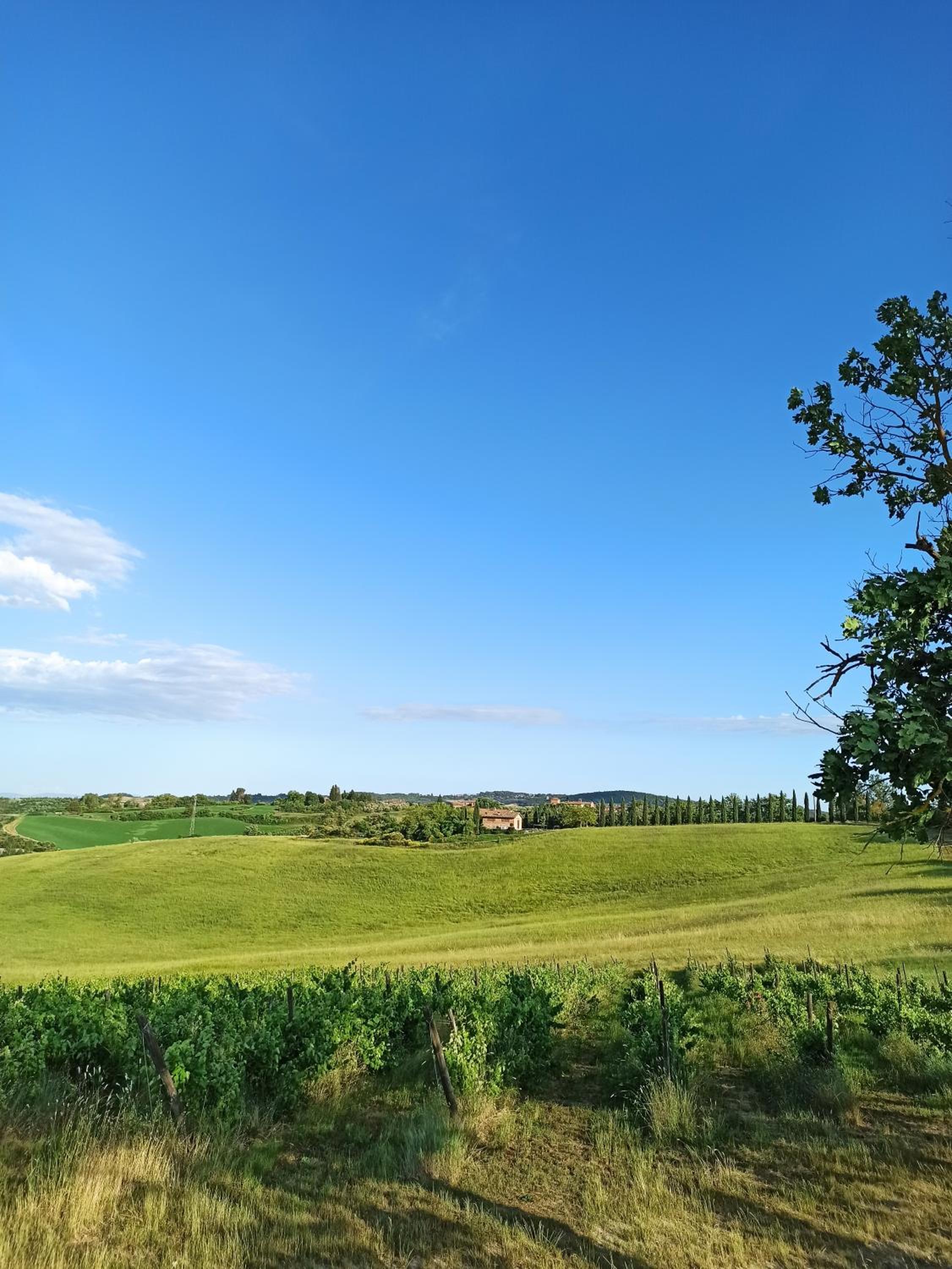 Podere Cartaio Bio Farm, private pool, AirC