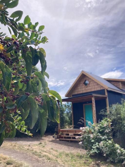 Refugio Huerta Los Maquis
