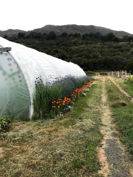 Refugio Huerta Los Maquis