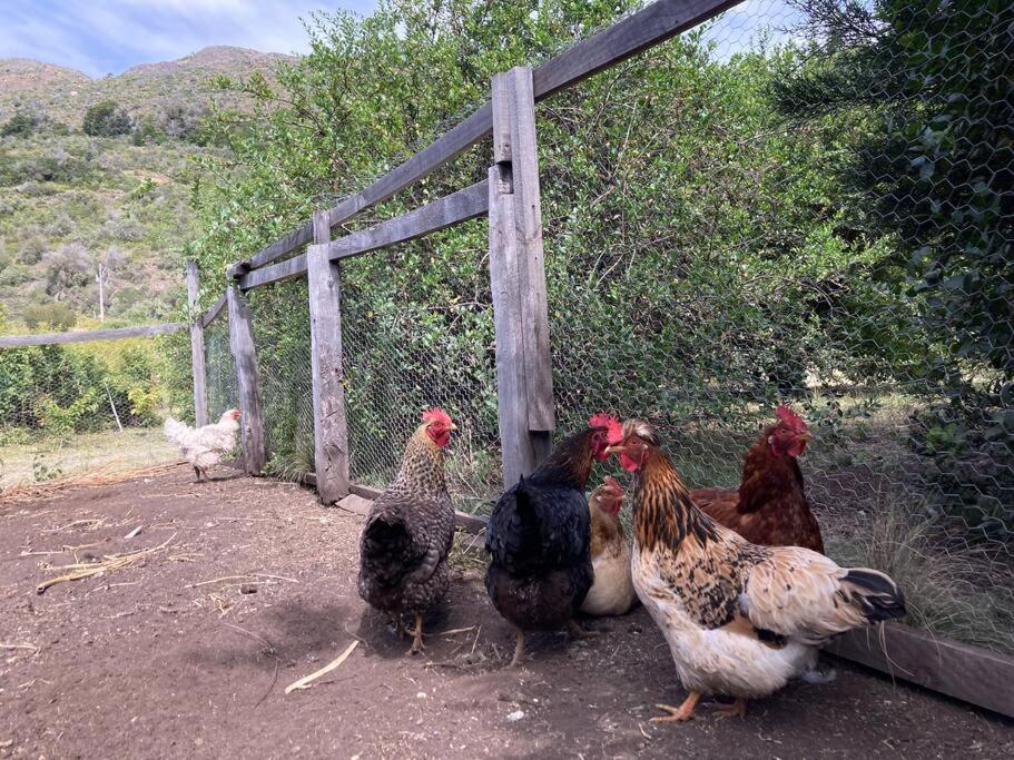 Refugio Huerta Los Maquis