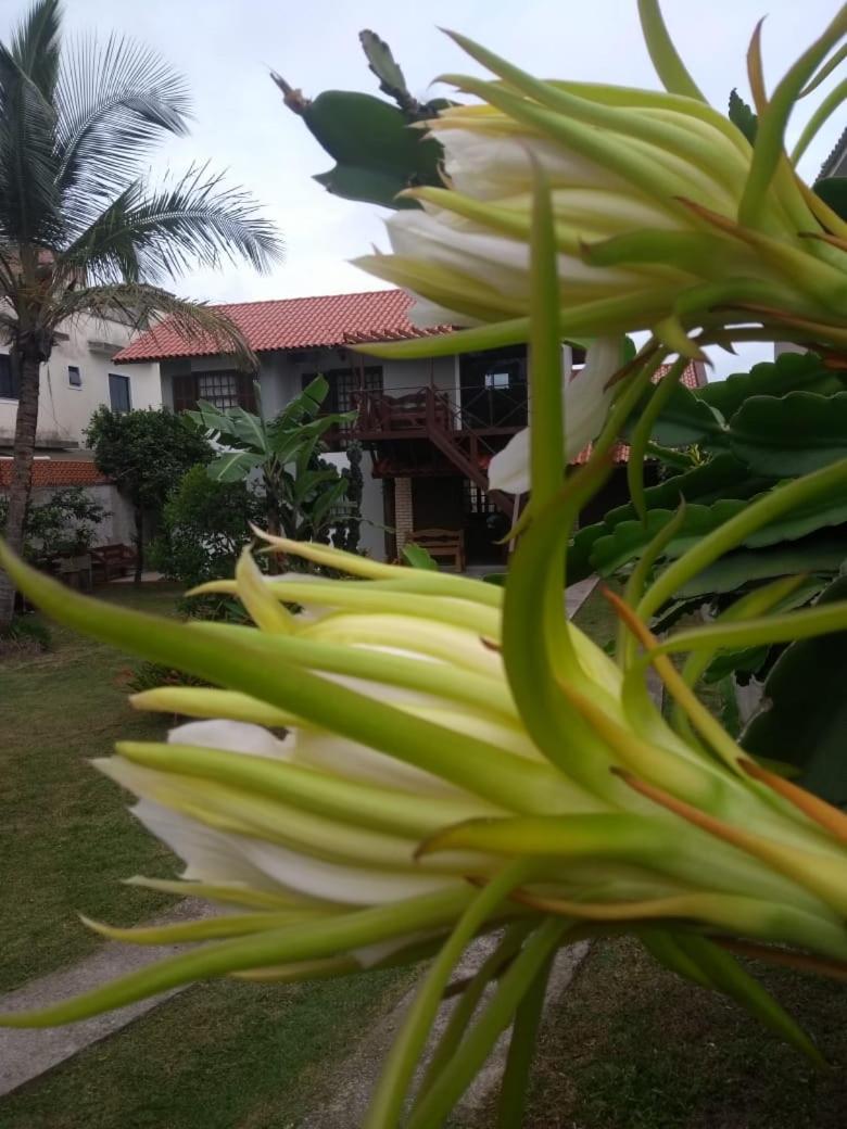 Casa Aconchego das Pitayas