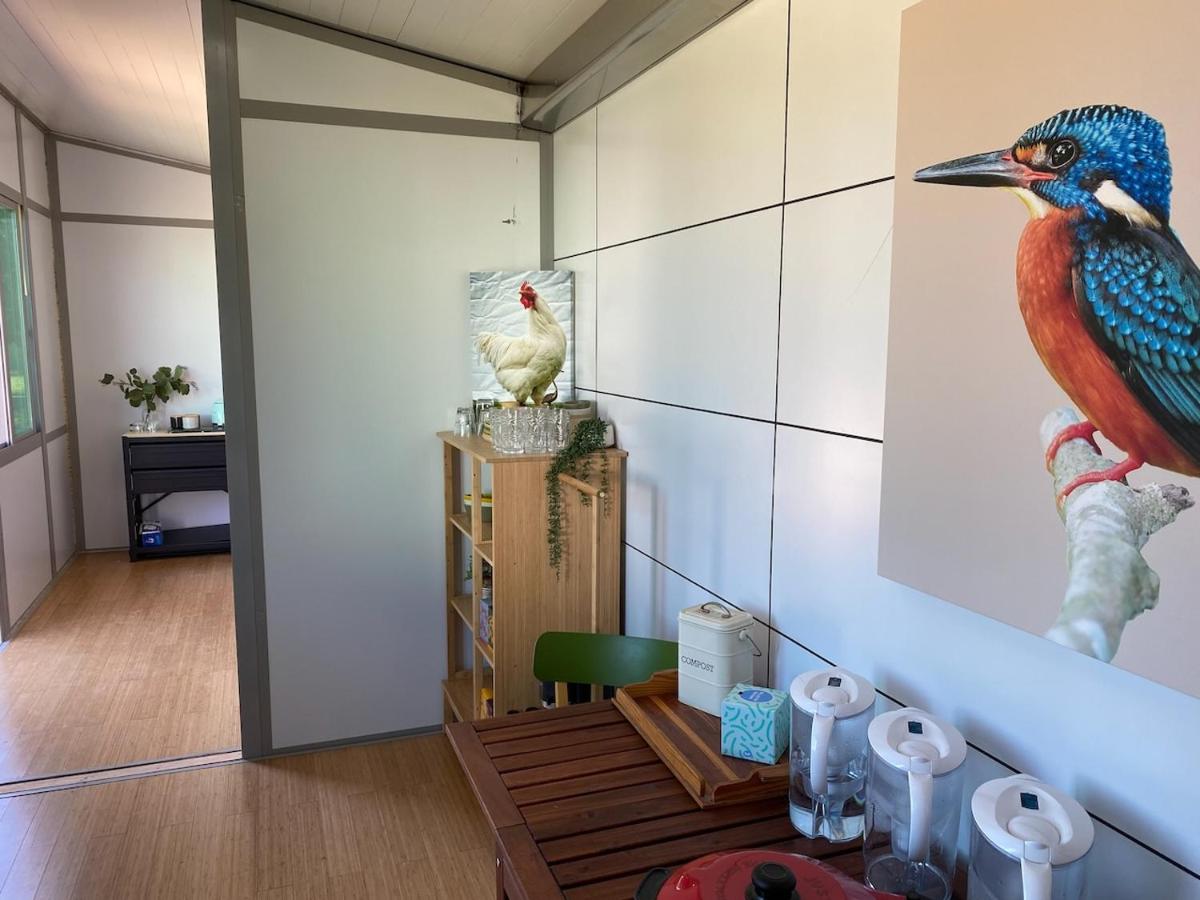 children's play area