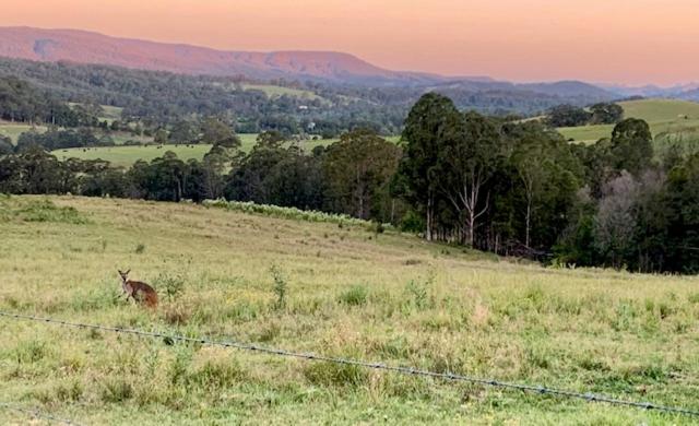 Amble Lea NSW Country escape