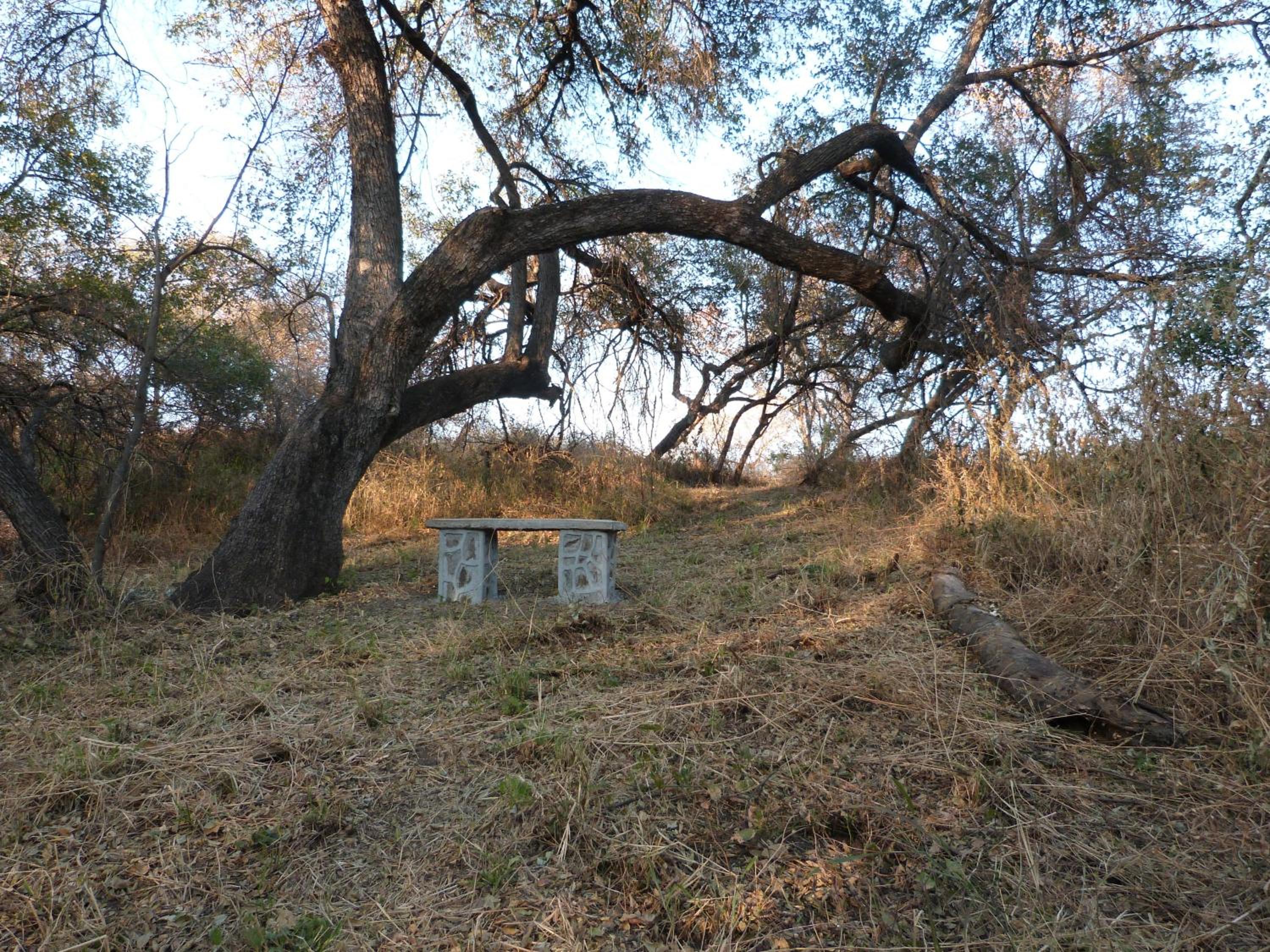 Woodlands Stop Over and Lodge
