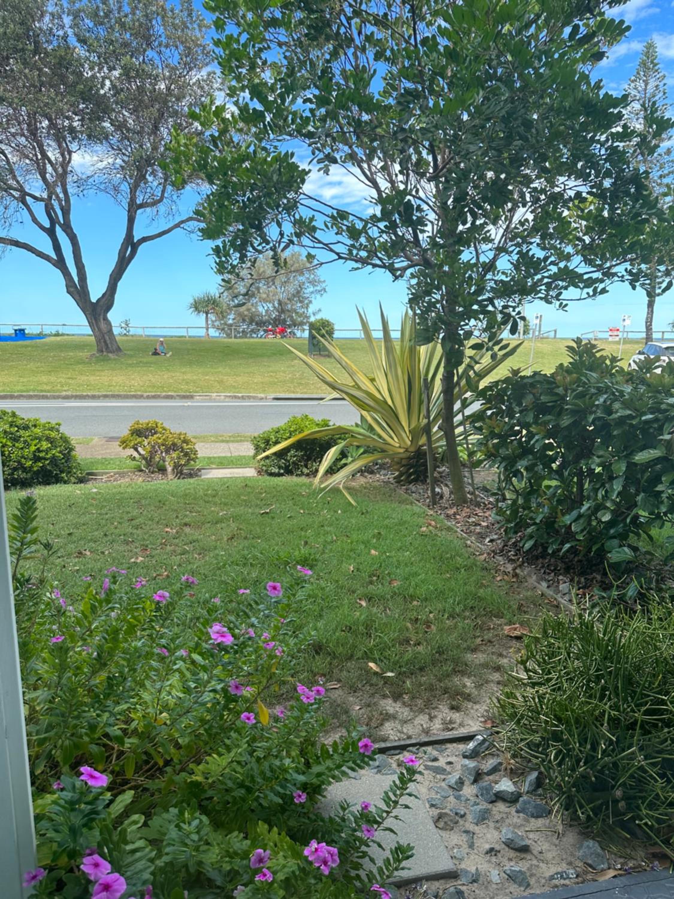 Nalu - Hosted by Burleigh Letting