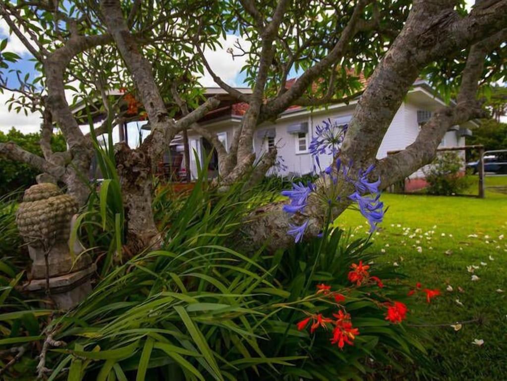 Tamarind Street Cottage. Maleny, Queensland