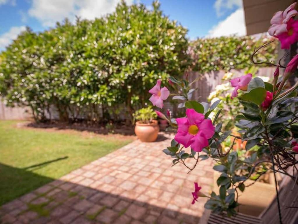 Tamarind Street Cottage. Maleny, Queensland