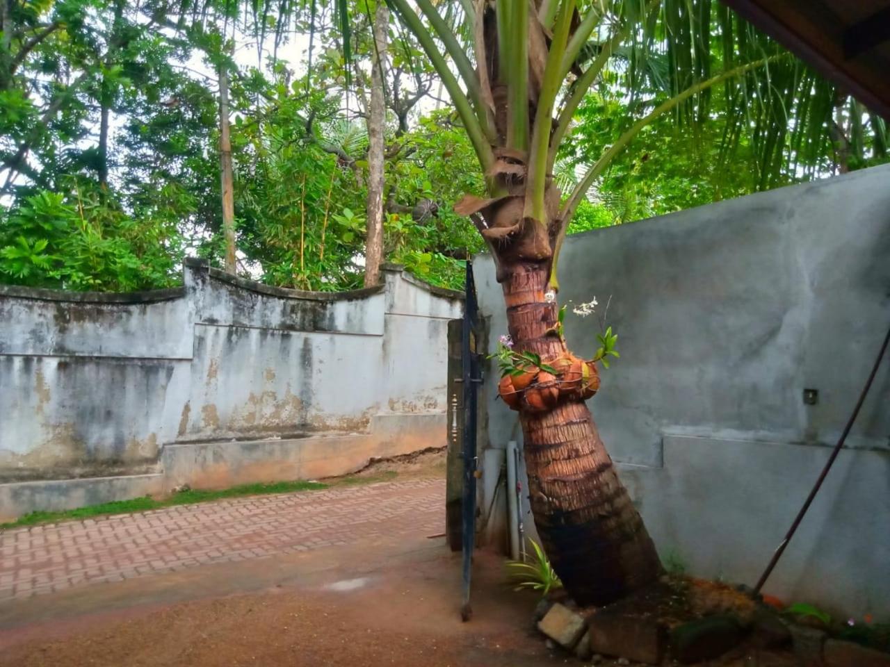 Anuk Villa