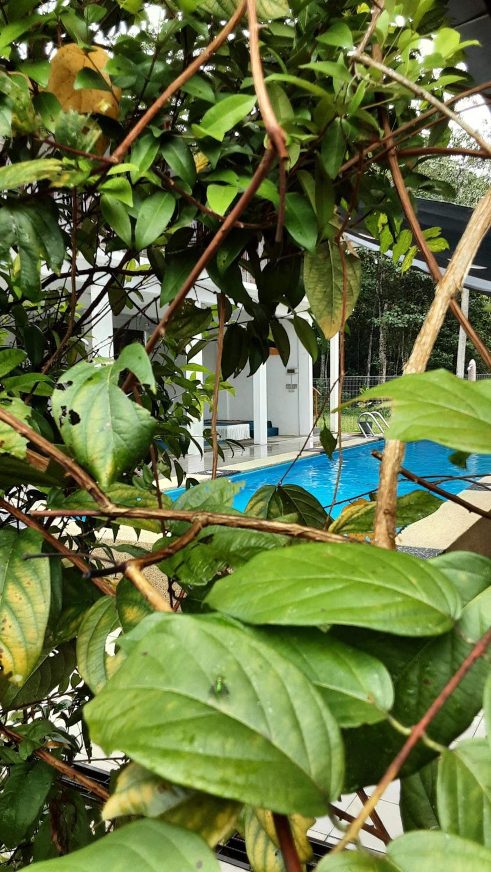 Challet Baitul Hanan with Private Pool near KLIA photo 7