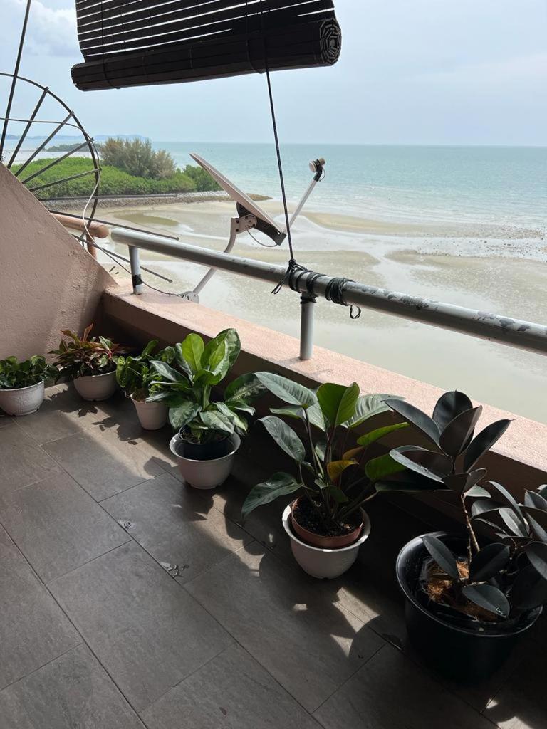 PD Grand SEAVIEW photo 2