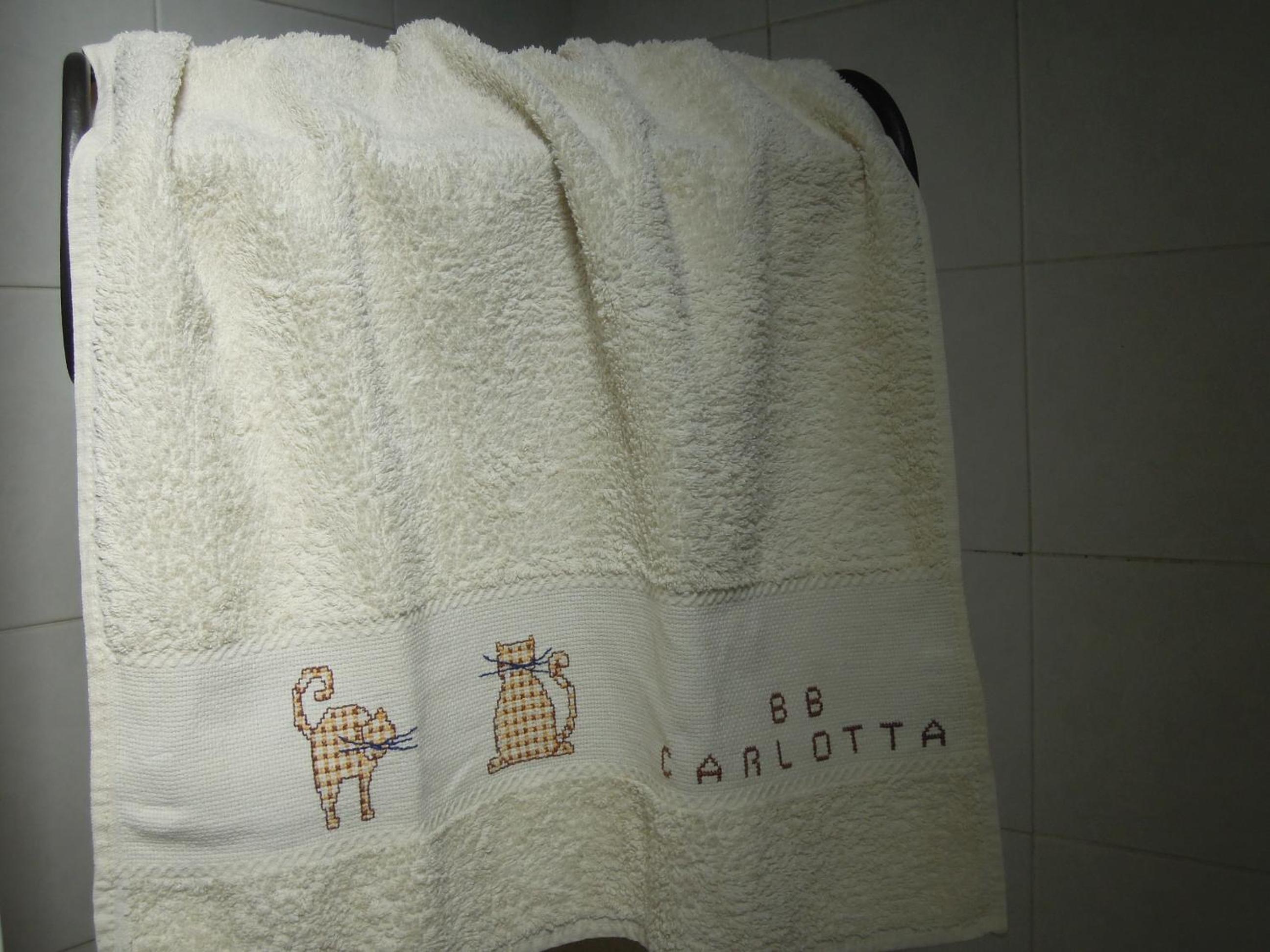 B&B Carlotta photo 4