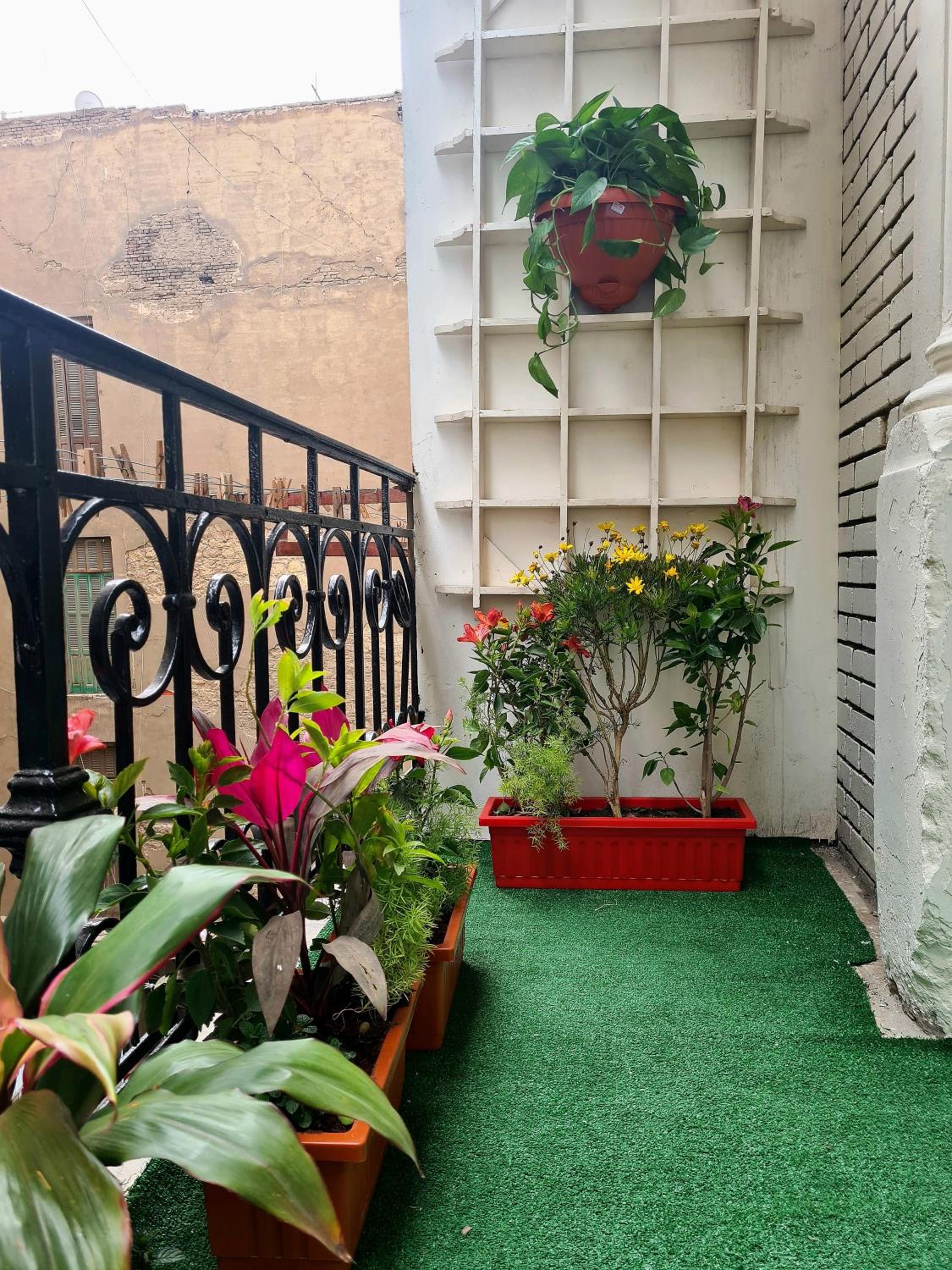 The Australian Hostel 照片第 38 張,共 41 張
