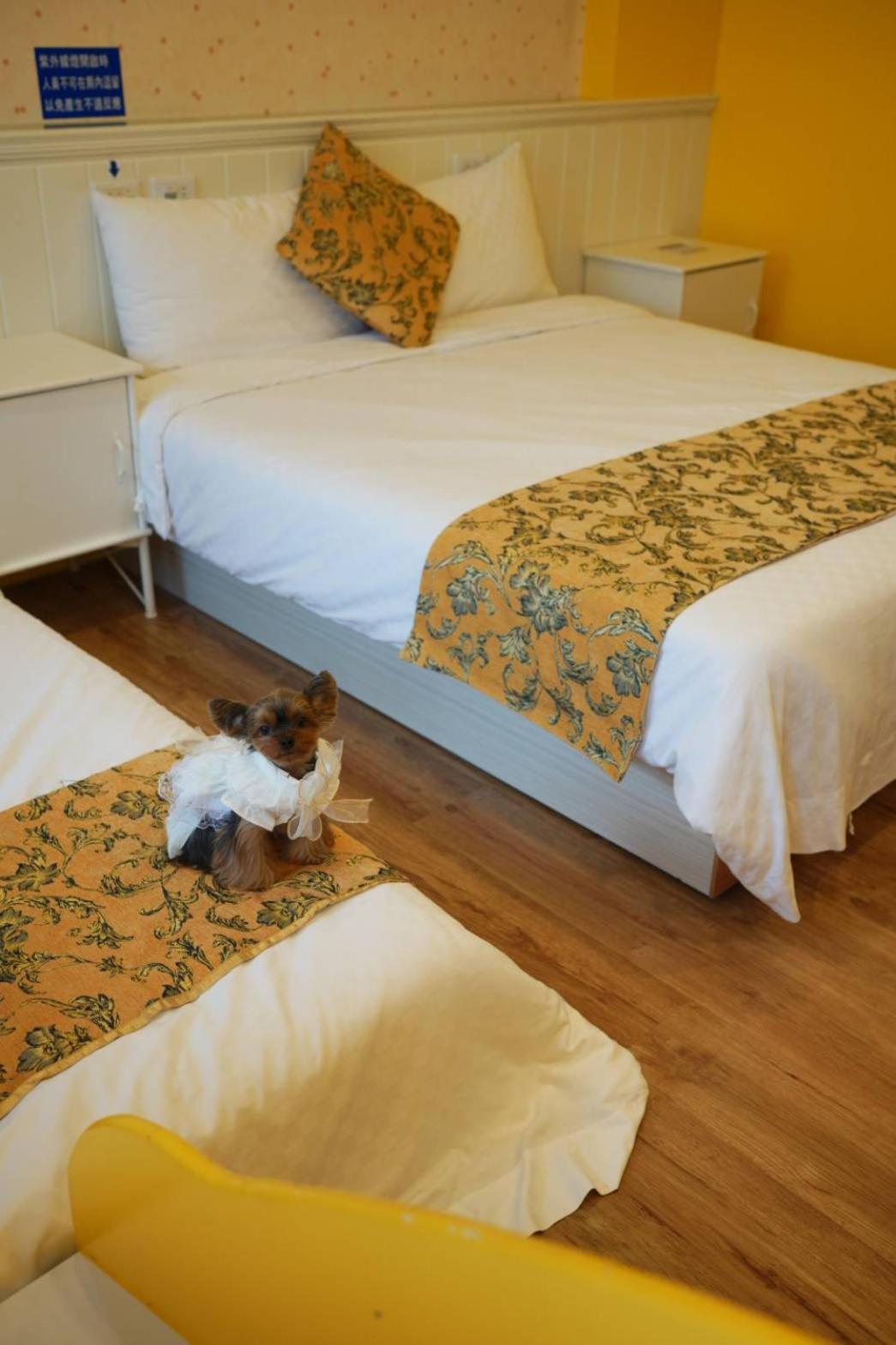 Dan Dan Bed and breakfast