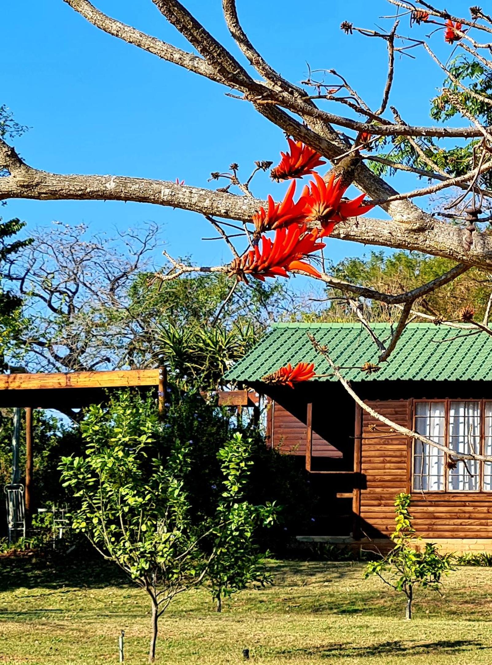 Kiaat Bungalows