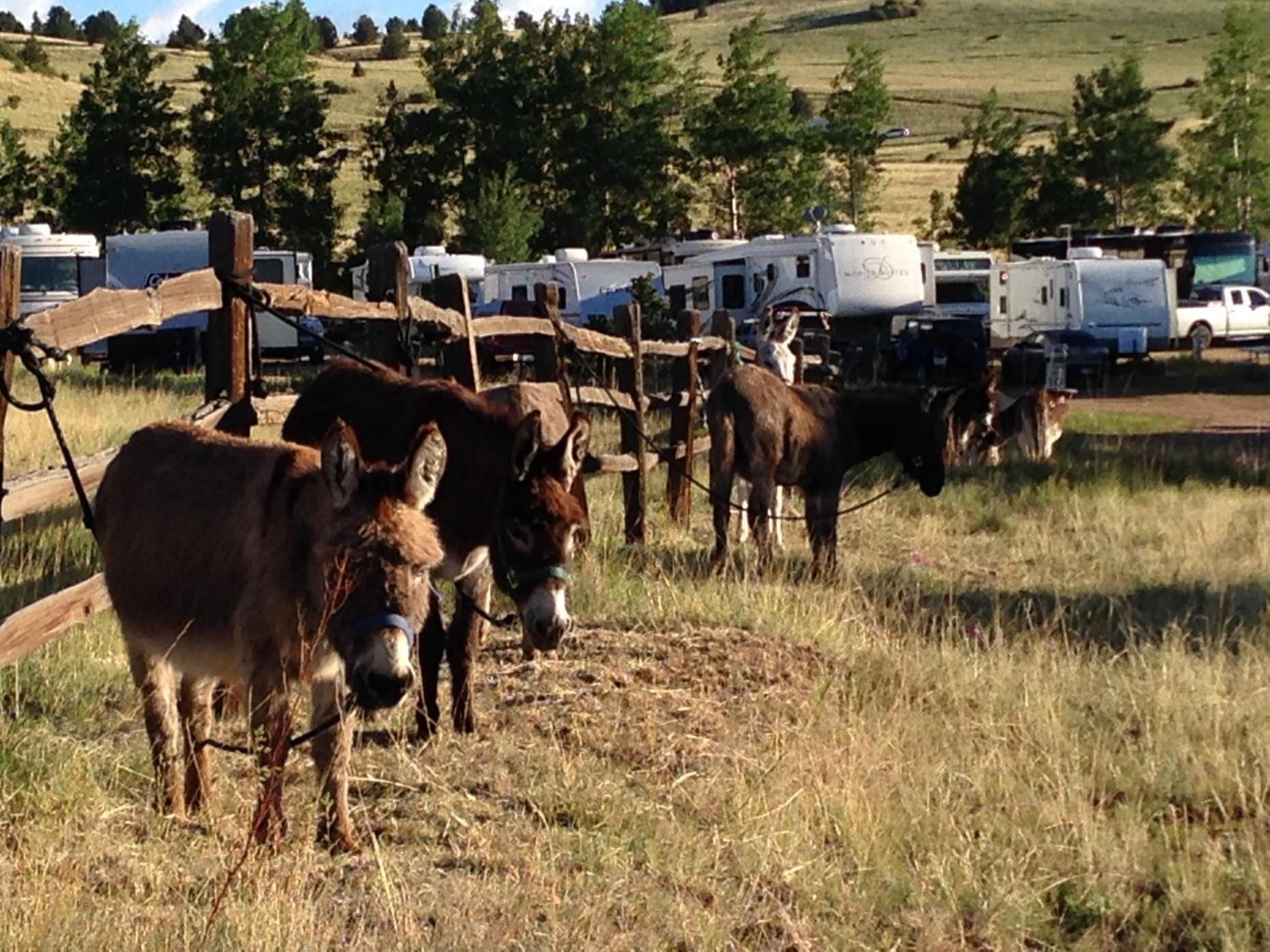 Cripple Creek Hospitality House