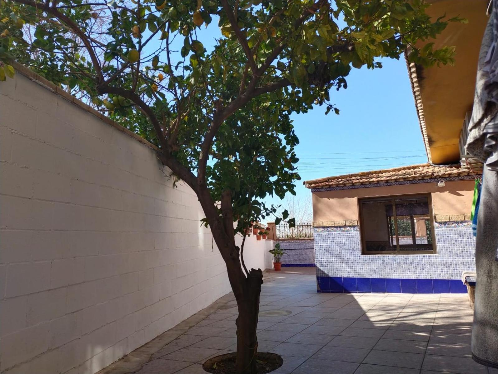 Casa Cortijo Olivar
