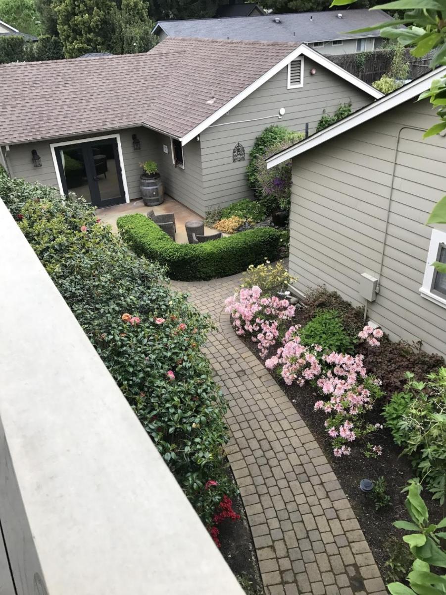 garden