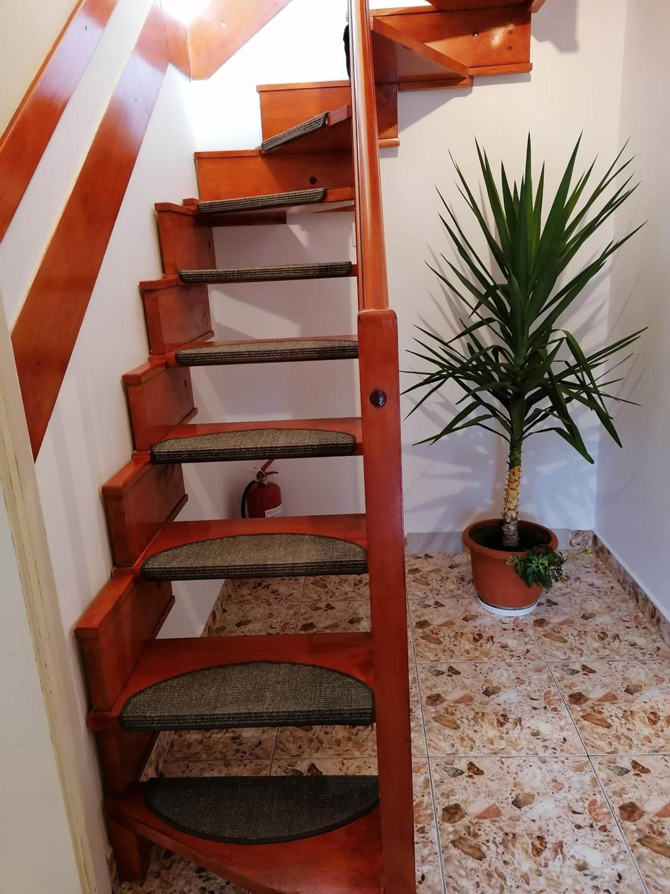 Pensiunea Ca La Mama Acasa view 2