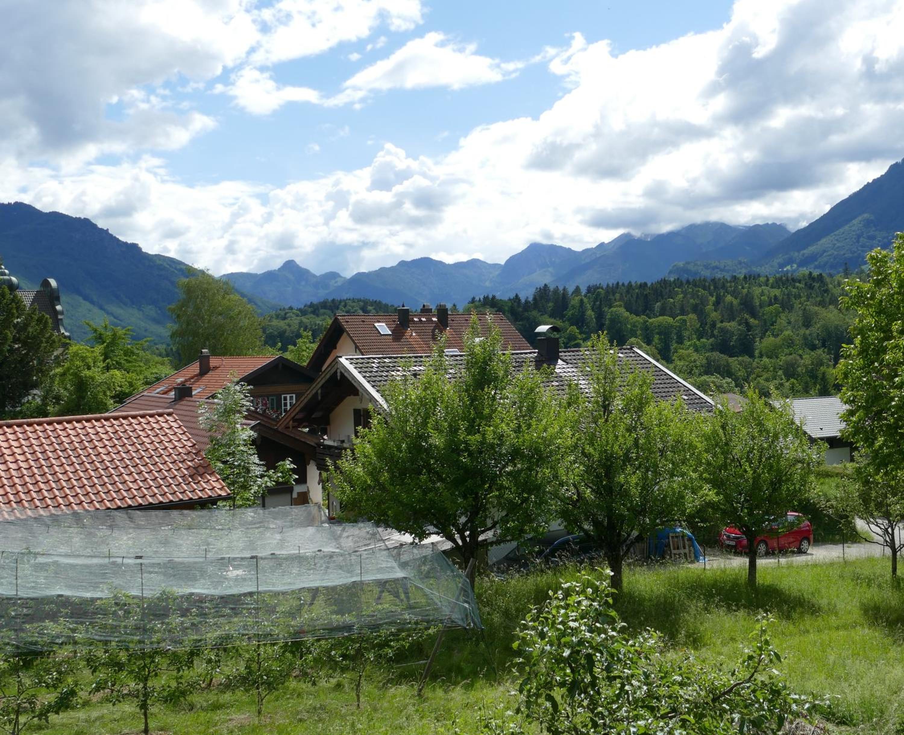 Haus Huber, Waltraud Huber