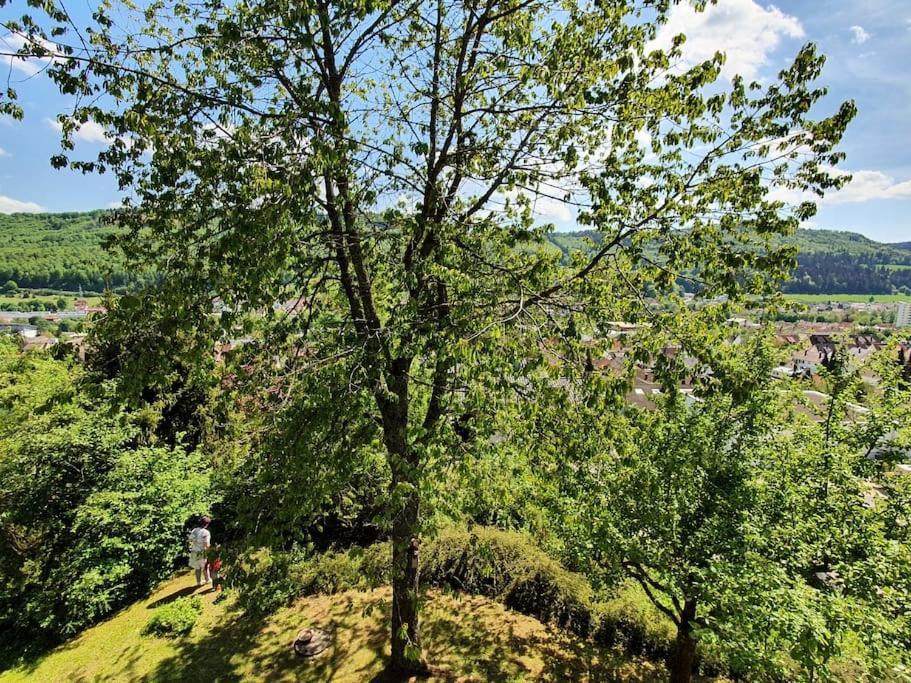 Studiowohnung SchwabenALB mit Panoramablick