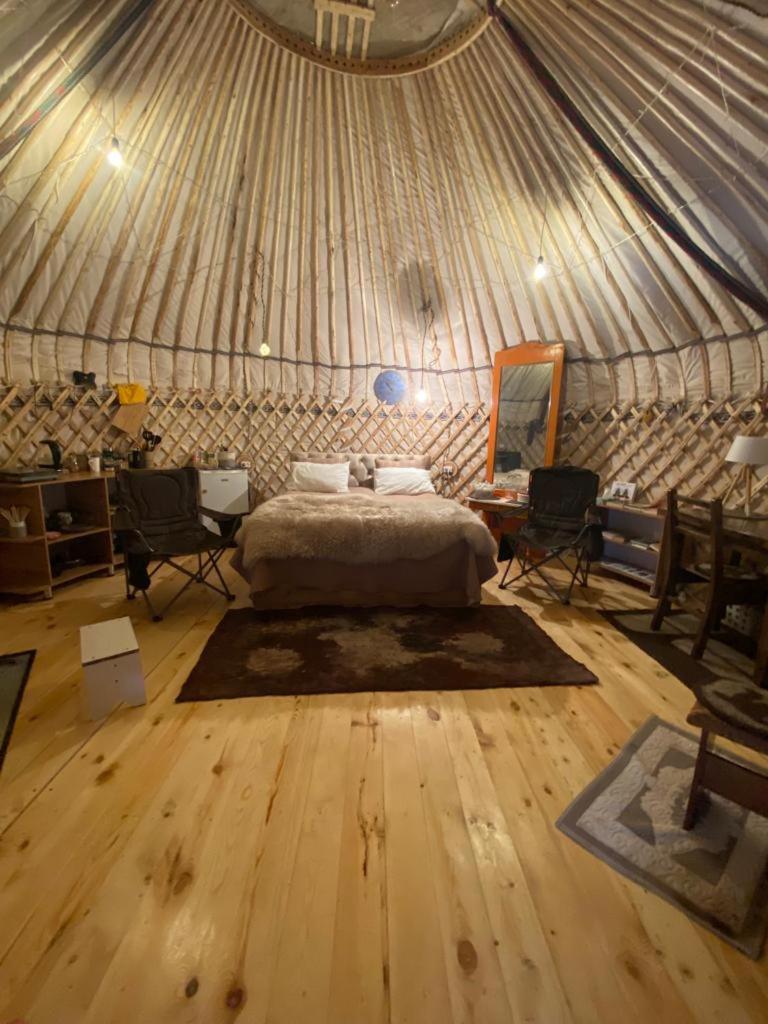 Yurty Mc yurt