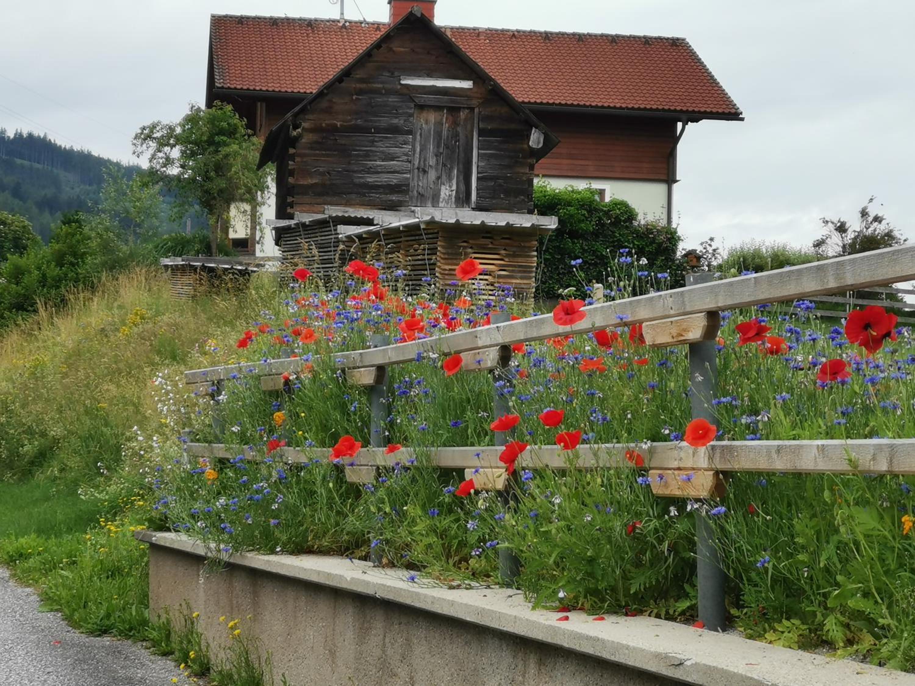Ferienhaus Raumberg