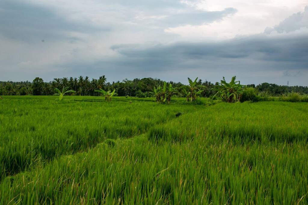Nusa Djiwa