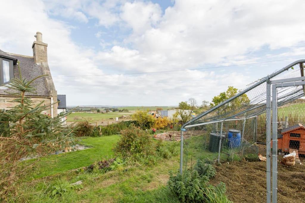 Cosy and modern 1 bedroom garden house - very dog friendly! view 5