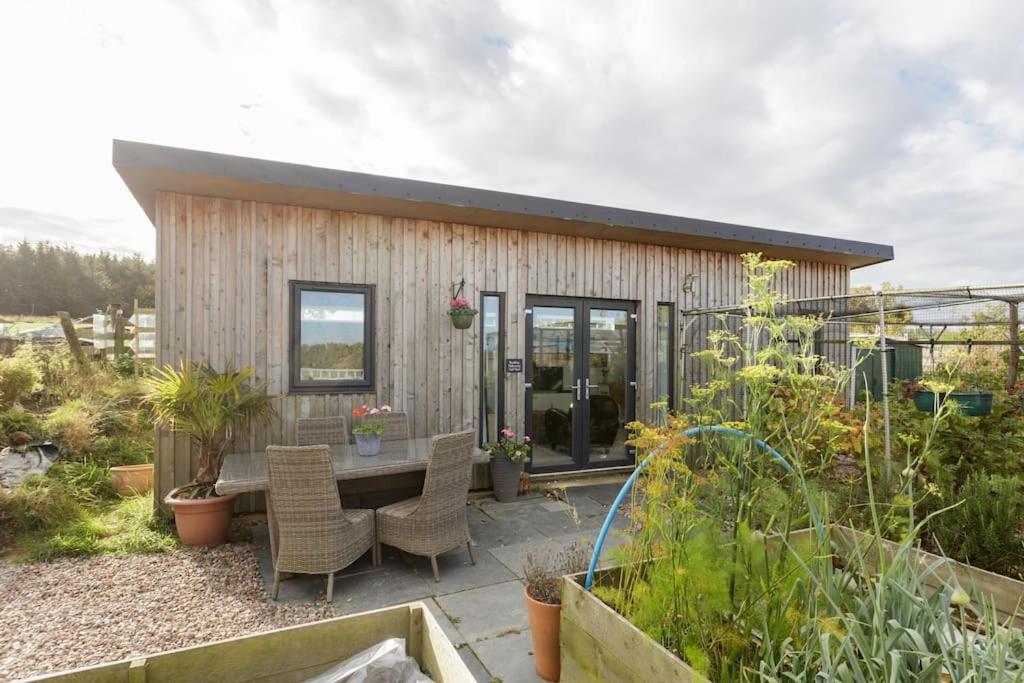 Cosy and modern 1 bedroom garden house - very dog friendly!
