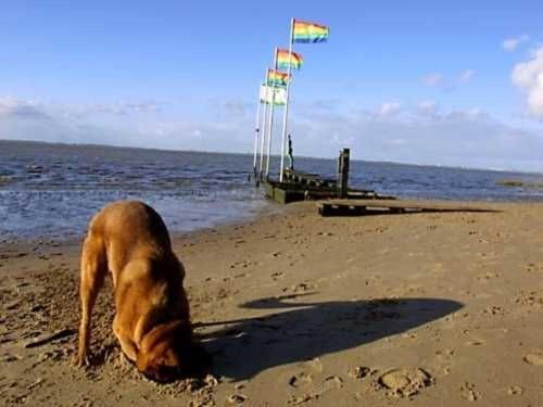 Ferienwohnung Bullauge, FeWo Vermittlung Nordsee