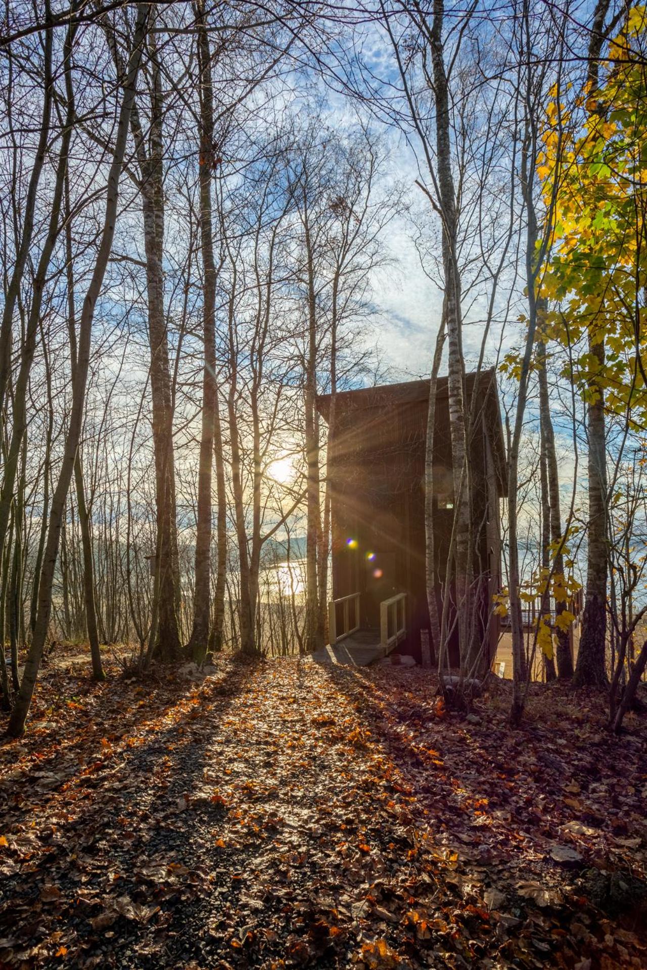 Fuglekassehytta