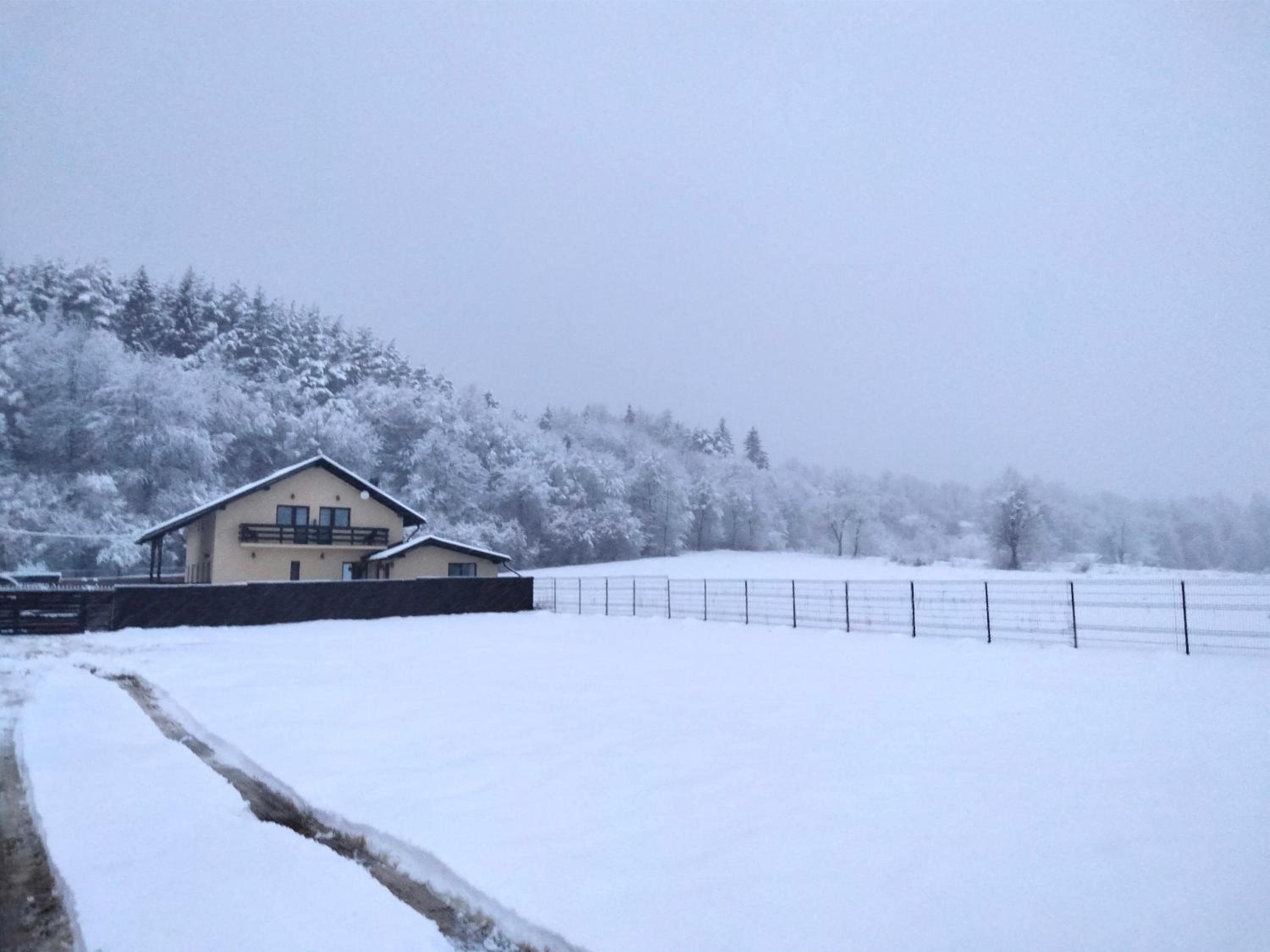 Photo 26