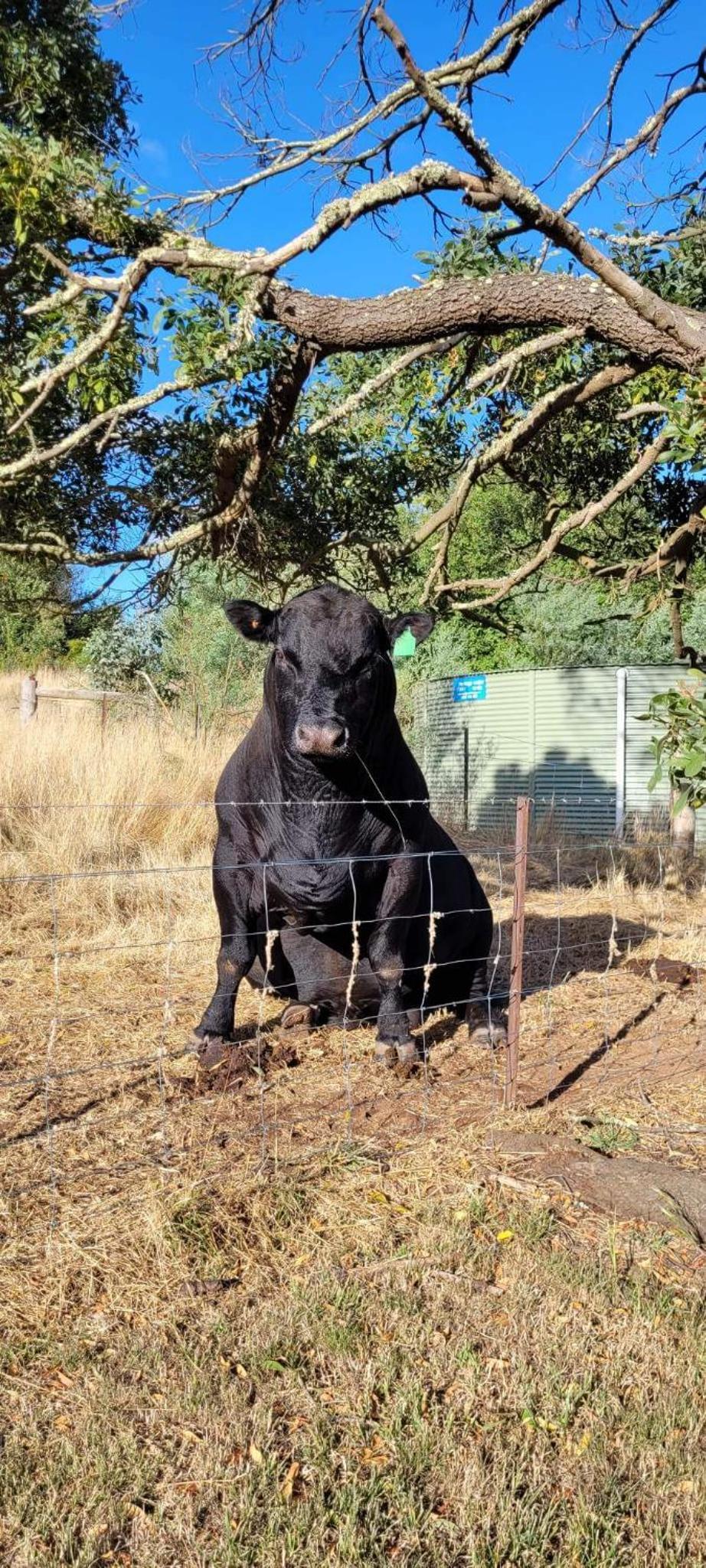 Fellcroft Farmstay